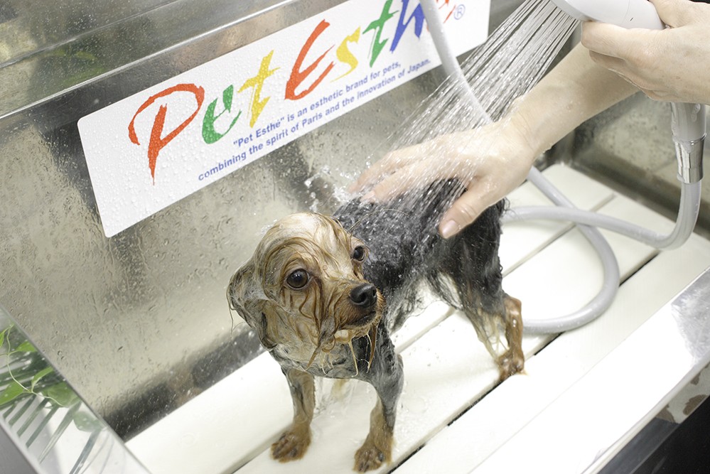 Après-Shampooing