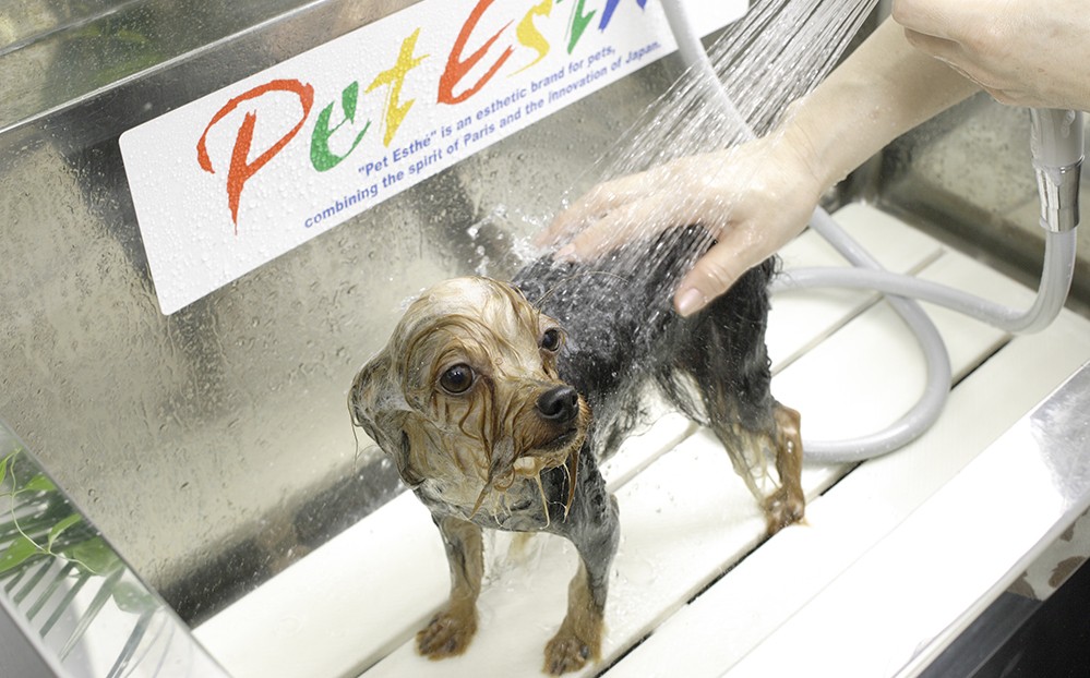 Après-Shampooing