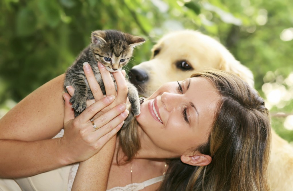 WORK AS A SPECIALIST IN INDUSTRY PETS