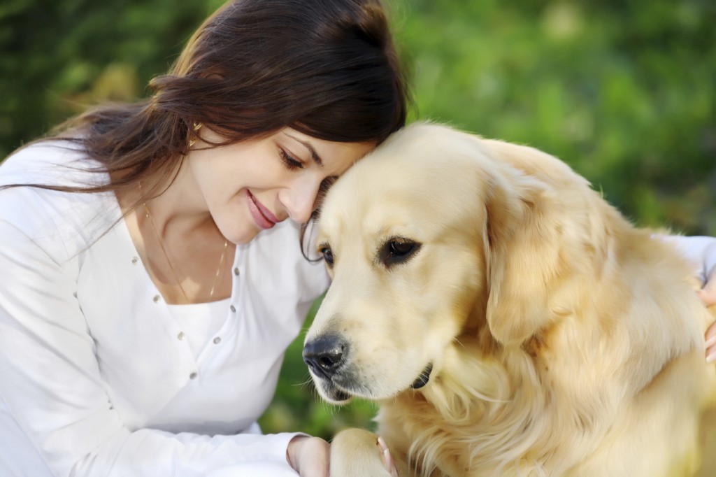 BEAUTY AND CARE FOR PETS
