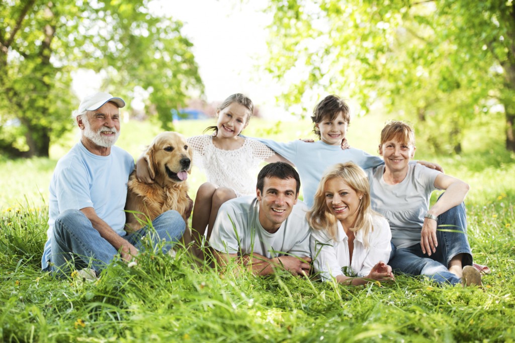 Large family with grandparents sitting in the grass.